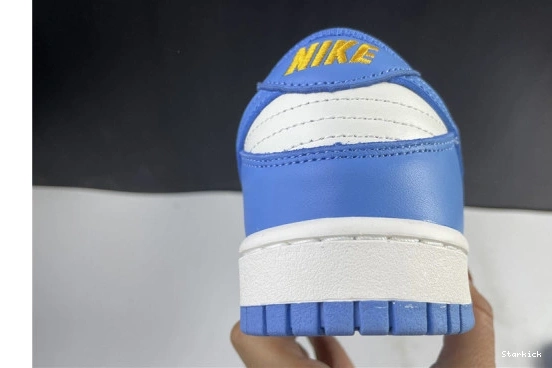Nike Dunk DD1503-100 Low Coast (W) 1216